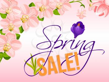 Spring Sale vector poster with orchid and crocus flowers. Holiday discount promo offer floral design for springtime shopping. Template of blooming pink and red spring flowers or cherry blossom