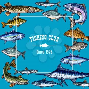 Fishing club vector sketch poster for fisher members. Frame retro design template with ocean or sea fishes tuna, marlin and salmon, herring and trout, bream or pike and sheatfish on blue background