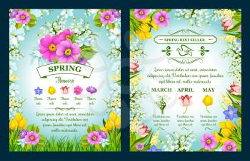 Spring posters of springtime flowers. March, April and May holiday seasonal shopping and promo sale offer. Floral design with frame of tulips or daisy bouquets and blooming daffodil petals wreath