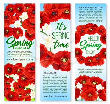 Hello Spring and Happy Springtime Holidays vector banners with greeting quotes, floral bouquets and blooming spring poppy flowers. Red poppy, orchid or daffodils blossoms and butterflies