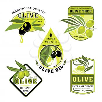 Olive oil product vector icons. Isolated set of Italian olives symbols for extra virgin cooking or salad oil design. Black and green olive branches for natural organic bottle label