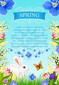 Spring time vector poster with wishes and greetings. Design of springtime flowers and floral bouquets of blooming crocuses, tulips and daffodils, butterflies and bunny in green grass and garden roses 