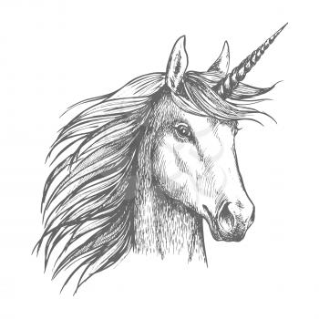 Unicorn horse animal vector sketch. White mythical heraldic isolated horse head with long horn. Mythic symbol of fantasy horse for fairytale story or fantasy design