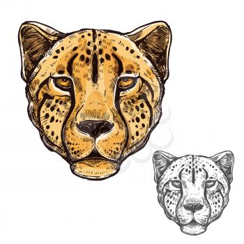 Cheetah African wild animal head or leopard muzzle sketch. Vector isolated icon of cougar cat for zoology, mascot blazon of sport team, wildlife nature adventure scout club or tattoo