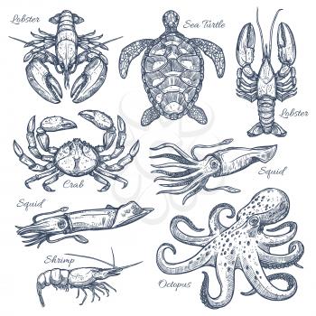 Sea animals and seafood sketch set. Ocean crab, octopus, lobster, shrimp, squid, sea turtle isolated symbols for fish market label, seafood restaurant menu, sea fishing themes design