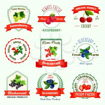 Berries icons or berry jam or juice product labels. Vector isolated set of organic gooseberry, raspberry, cherry or fresh farm briar, redcurrant or blueberry, black currant, blackberry and strawberry