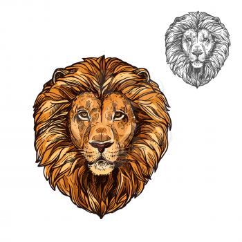 Lion African wild animal head or muzzle sketch. Vector isolated icon of panther leo species cat for zoology, mascot blazon of sport team, wildlife savanna nature adventure scout club or tattoo