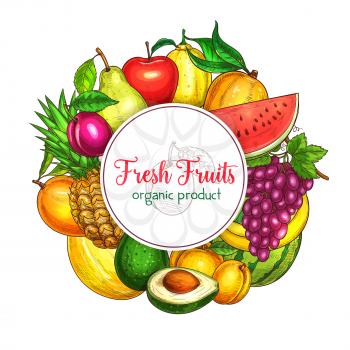 Fresh fruits poster of summer fresh exotic pineapple and pomegranate, apricot or pear and tropical banana. Vector harvest of juicy watermelon or melon, peach, grapes and plums or avocado and lemon