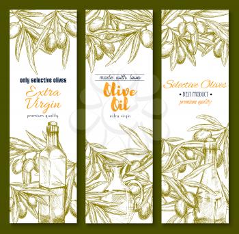 Olive oil sketch banner set. Organic oil bottle with olive tree branch and green fruit for natural olive product label, food packaging, healthy vegetarian and italian cuisine themes design
