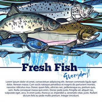 Fresh fish market poster for seafood shop or fishing store. Vector design of fisher big catch of sea food and fishes tuna, mackerel or marlin and sea carp or river pike and crucian or ocean flounder