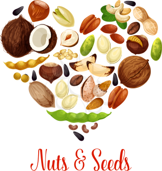Nuts, seed and bean heart of healthy snack food. Peanut, almond, pistachio, walnut, hazelnut and pecan, cashew, sunflower and pumpkin seed, coffee and soy bean, coconut, brazil nut, superfood design