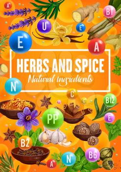 Vitamins in spices and herbs, organic seasonings and herbal cooking flavoring ingredients. Vector vanilla, ginger and lemongrass herb, turmeric and nutmeg spices with basil and savory or rosemary