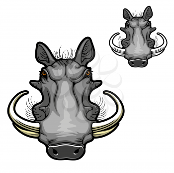 Warthog boar animal vector icon with head of wild pig or African razorback hog with curved tusks, angry muzzle and gray snout. Safari mammal design of zoo mascot or hunting sport club symbol
