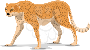 Cheetah animal cartoon character. Vector isolated African wild cougar or guepard and leopard feline species. Africa zoo, zoology or hunting Safari open season theme
