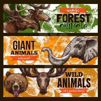 Wild animals banners. Vector set of giant forest and African animals of grizzly bear, elk or deer and elephant for save and wildlife protection or welcome zoo design template