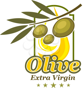 Green olive label of extra virgin oil product. Olive branch with green fruit and leaf symbol, decorated with star for olive farm trademark, oil bottle, can and food packaging design