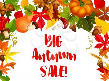 Autumn season sale offer poster. Fall nature frame of autumn leaf, pumpkin vegetable, maple foliage, forest mushroom, acorn and wheat for seasonal sale promotion banner or discount card design