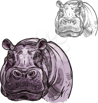 Hippopotamus hippo head or muzzle sketch icon. Vector isolated African wild mammal of pygmy hippo animal for zoology, mascot blazon of sport team, wildlife savanna nature