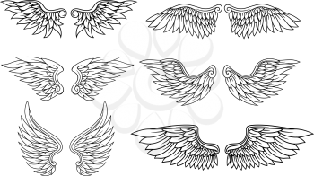 Set of eagle or angel wings for heraldry and tattoo design