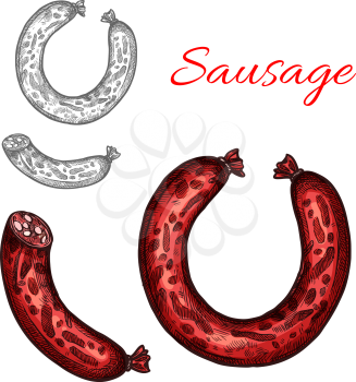 Pork meat sausage isolated sketch. Ring of smoked sausage or frankfurter, seasoned with garlic and pepper for butcher shop food packaging label or barbeque menu design