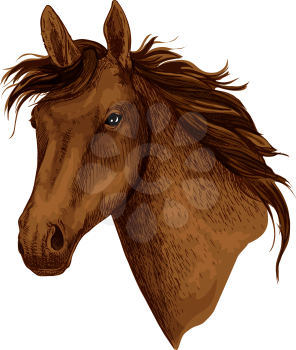 Horse or brown mustang head with wavy mane. Wild equine animal muzzle or racehorse trotter for sport team mascot or stallion for equestrian contest or horse races and exhibition. Vector isolated icon