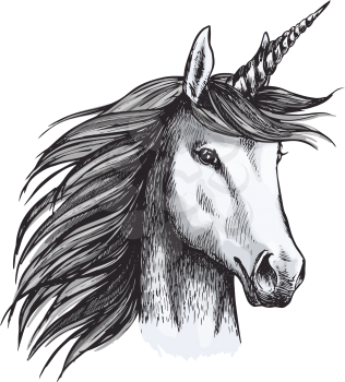 Unicorn sketch icon. Vector magic or mystic fairy horse horn and waving mane. Wild fantastic unicorn stallion symbol for equine sport or equestrian races contest exhibition