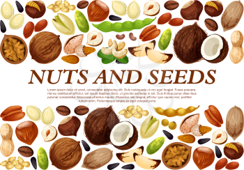 Nuts and fruit seeds or beans poster. Vector peanut or coconut and hazelnut, pistachio or almond walnut and legume bean pod, macadamia or filbert nut and pumpkin or sunflower seeds and coffee bean