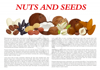 Nuts and fruit seeds or kernels information poster template on nutrition facts. Vector design of almond, filbert or peanut and walnut, pistachio or pumpkin and sunflower seeds, coconut or hazelnut nut