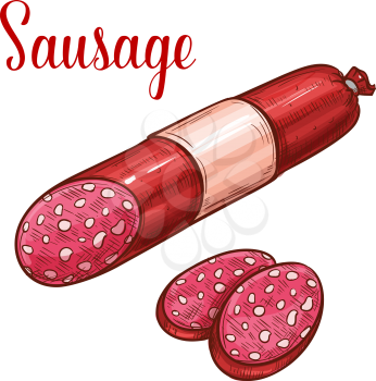 Salami sausage with slice isolated sketch of fresh meat product. Salami sausage or smoked frankfurter with fat pieces in red packaging for butcher shop label and food packaging design