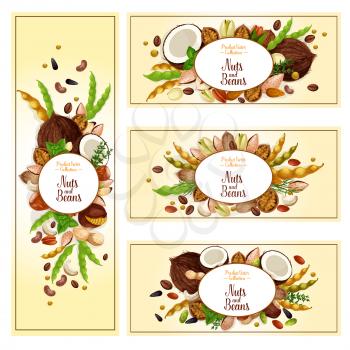 Nuts, bean and seed superfood label set. Almond, peanut, walnut, pistachio, hazelnut, pecan, cashew, soy, coffee bean, sunflower and pumpkin seed, macadamia and brazil nut vector badge for food design