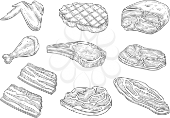 Meat and chicken sketch icons. Vector isolated symbols of fresh or grill chicken leg and wing, pork bacon ham and beef steak sirloin or tenderloin brisket and T-bone steak for barbecue or butcher shop
