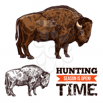 Bison animal sketch of wild mammal. American buffalo, bull or ox with brown fur and horn isolated icon for hunting sport open season or hunter club symbol design