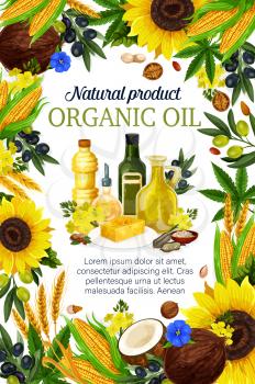 Cooking oils poster for farmer market product. Vector of extra virgin olive, sunflower seed or coconut and flax or corn, wheat and hemp oil in plastic and glass bottles for natural organic food