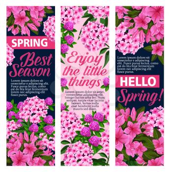 Spring time greeting banners of flowers for springtime holiday season celebration. Vector design or lilac flowers bunch, blooming crocus and hibiscus blossoms for seasonal spring wishes