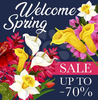 Spring sale offer banner with flower bouquet and ribbon. Blooming daffodil, tulip and calla lily, azalea and delphinium, green leaf and floral branch for Springtime seasonal discount flyer design