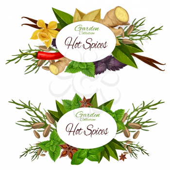 Hot spices icons with seasoning and dressing. Vector of ginger and basil, bay leaf and vanilla, dill and anise, mint and cinnamon, chilli pepper. Herb and condiments for cooking badges vector isolated