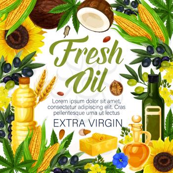 Fresh oil of extra virgin poster for farmer market products. Vector of olive, sunflower seed or coconut and flax or corn, wheat and hemp oil in plastic and glass bottles for natural organic food