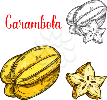 Carambola fruit sketch of exotic tropical starfruit. Yellow juicy carambola isolated icon for fruity drink, juice and dessert ingredient or healthy dieting and vegetarian food themes design