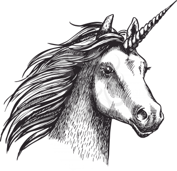 Unicorn sketch icon. Vector magic or mystic fairy horse horn and waving mane. Wild fantastic unicorn stallion symbol for equine sport or equestrian races contest exhibition