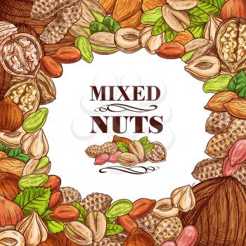 Nuts and fruit seeds or beans mix sketch poster. Vector peanut or coconut and hazelnut, pistachio or almond walnut and legume bean pod, macadamia or filbert nut and pumpkin or sunflower seeds