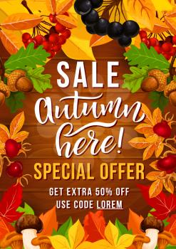 Autumn sale special offer poster with autumnal leaf frame on wooden background. Fall season discount price offer banner with fallen foliage, acorn and mushroom, forest briar and rowan fruit branch