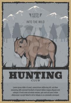 Hunting club or hunter open season vintage poster of buffalo or bison in snow mountains. Vector retro design for wild ox animal hunt adventure or hunter hobby concept