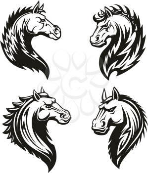 Horse head icons of black tribal animal. Wild mustang stallion or mare with curved neck and ornamental mane for tattoo, horse racing sport mascot or t-shirt print design