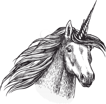 Unicorn, fantasy animal sketch with head of fairy horned horse or magic creation. Unicorn with spiraling horn isolated symbol for tattoo or medieval heraldic coat of arms design
