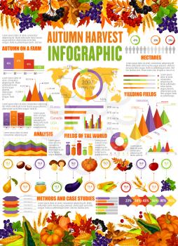 Autumn harvest infographic seasonal statistics poster. Vector diagrams for farm vegetables pumpkin, corn and eggplant, flowchart of honey and berry reap with wheat and grape fruits share percent