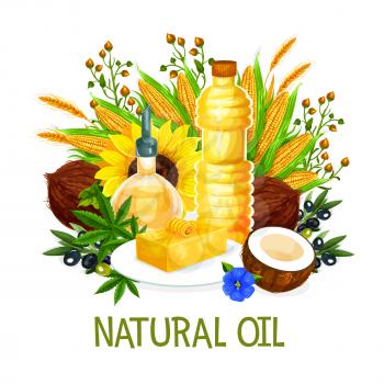 Natural oil in bottles, vector. Butter on plate, coconut and corn, sunflower, olives, herbs and wheat spikes, hemp and flowers. Extra virgin oils, organic product for cooking and seasoning