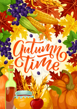 Autumn time poster for harvest fest or seasonal holiday celebration. Vector design of pumpkin and corn with fruits, grape berries and honey or wine in acorns and maple or oak leaf
