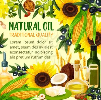 Natural oil made of sunflower seeds, olive and corn, coconut and wheat spikes, peanut. Virgin oil used in cosmetics and pharmaceuticals, frying food and dressing salads. Vector