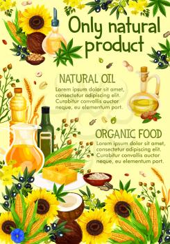 Natural oil made of sunflower seeds, olive and corn, coconut and wheat spikes, peanut. Vector virgin oils of natural plants, nuts and herbs, vegetables. Jar, bottle and jug with liquid seasonings