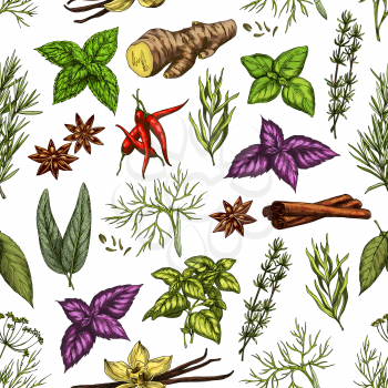 Spices and herbs seamless pattern of organic seasonings. Vector background or peppermint, anise or basil and vanilla or cinnamon, ginger and chili pepper with parsley or dill and rosemary or sage